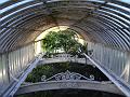 Among the girders, Palm House, Royal Botanic Gardens Kew IMGP6254